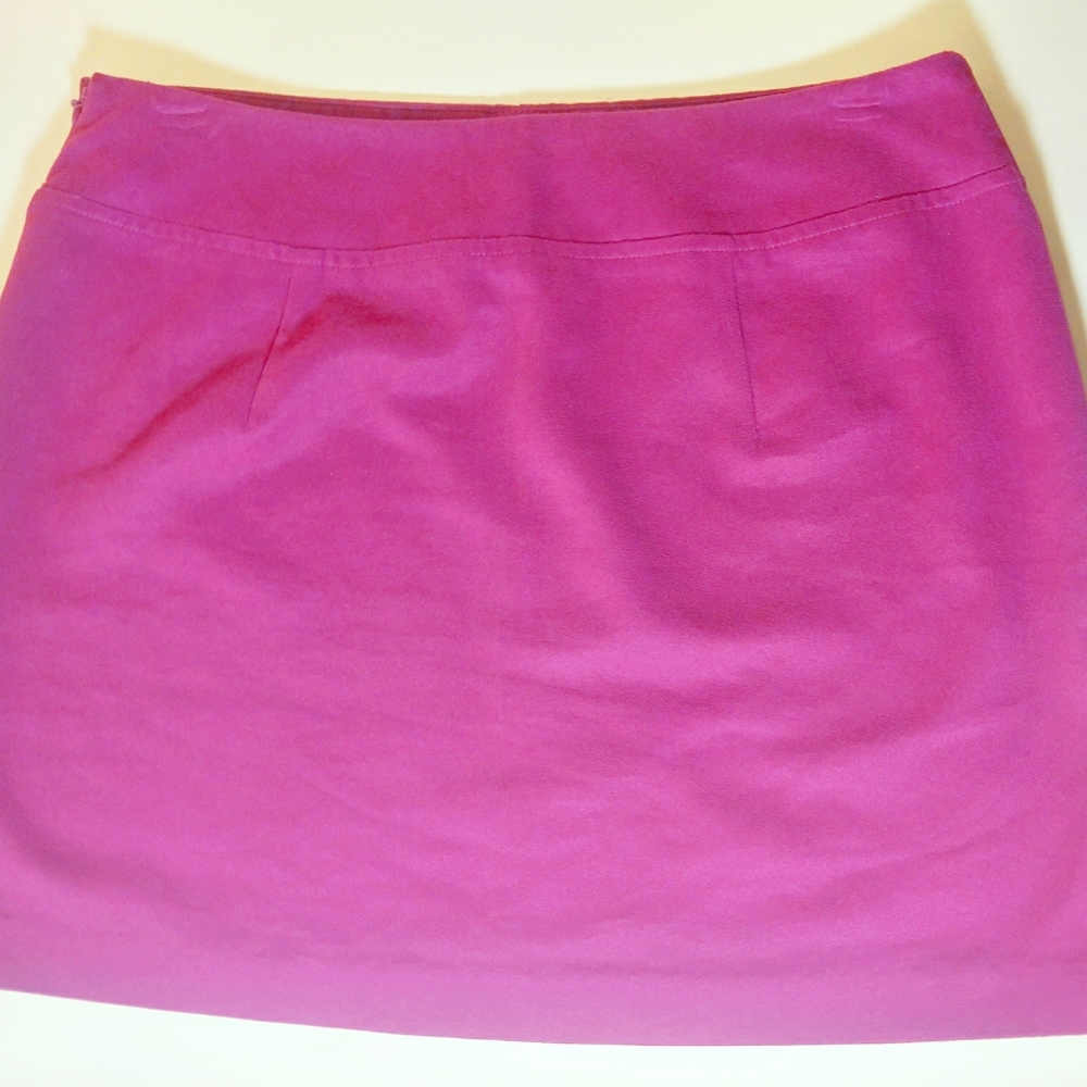 Microfiber Mini Skirt